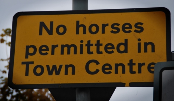 I didn't see any horses in the town centre, but evidently this has been enough of a problem in the past that the local authority felt the need for a sign.