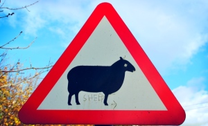 Sheep Sign