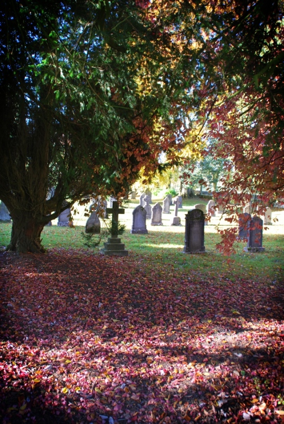 A cemetery coloured by dead and dying leaves. Actually, I really had to resist the urge to inspect the graves here: as longer term readers of this blog will know, I have developed a habit of photographing old headstones. I'd already convinced one local seven year old that I was A Bit Weird. No need to make the good people of Maulds Meaburn think that I was also A Lot Creepy.