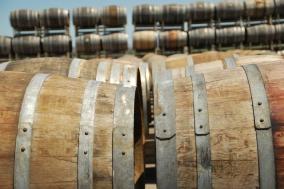 Not appropriate to use for bobbing for apples. This photograph would be better if it was straight but I was a little unsteady on my feed when I took it.