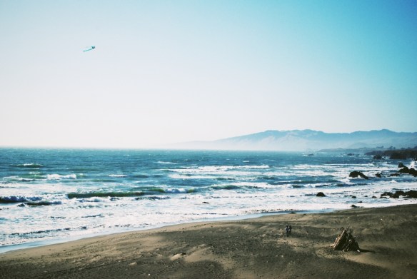 The kite flying that I remember doing as a child consisted mostly of running with the kite held aloft in a desperate effort to get it airborne, then a montage of stunning nosedives once the thing was in the air. In California, the kites just fly.