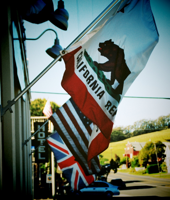 The state animal of California is the grizzly bear. Unfortunately, they've now  all been hunted to extinction in the state, so they don't use real bear fur on the flags anymore.