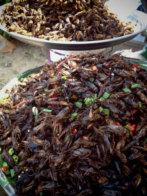 I didn't have the guts to try these.