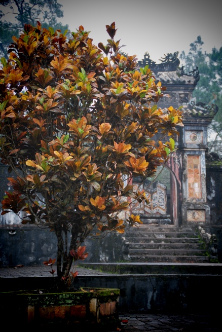 We visited the tomb of a former Emperor, an hour and a half cruise down the Perfume River on a little boat that was also a family’s home. When we eventually moored up, the driver of the boat pointed us up a muddy track and offered a few words in Vietnamese that none of us understood. At some point, we took a wrong turn. We reached the Tomb an hour later, after tramping through muddy fields whilst bare footed farmers standing knee deep in rice paddies laughed at us.
