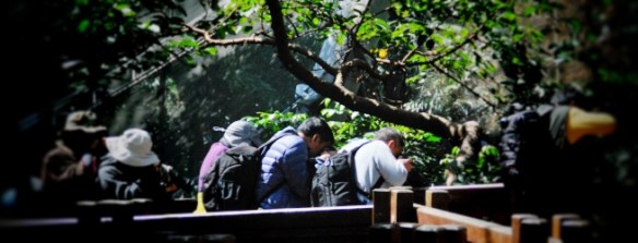 Lens-size comparison club at Hong Kong Aviary.