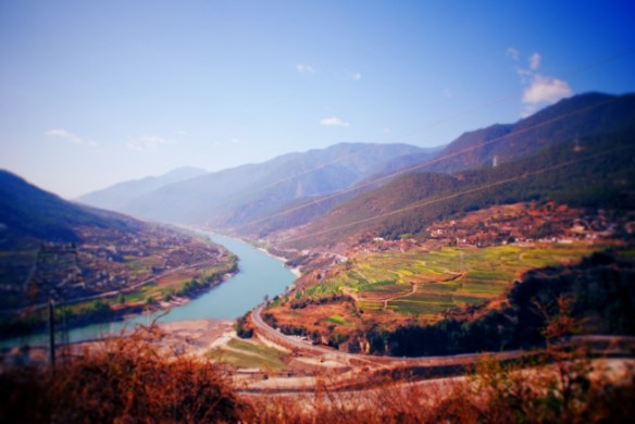 Looking back from the start of the trail.