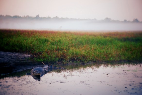 ...and he wants to be your friend.