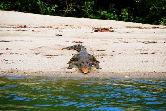 See how friendly he is?