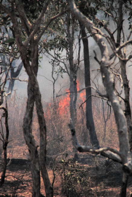 Nothing to worry about, apparently.